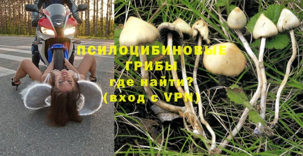 ПСИЛОЦИБИНОВЫЕ ГРИБЫ Зеленодольск