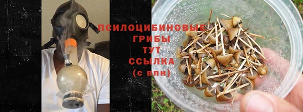ПСИЛОЦИБИНОВЫЕ ГРИБЫ Зеленодольск