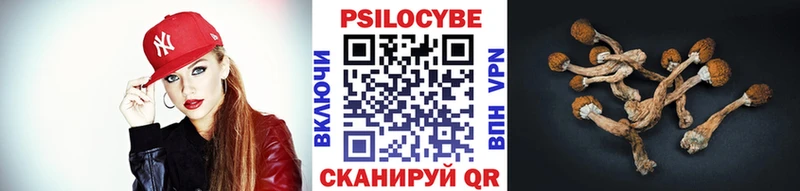 Купить  Нефтекамск  Псилоцибиновые грибы Cubensis 